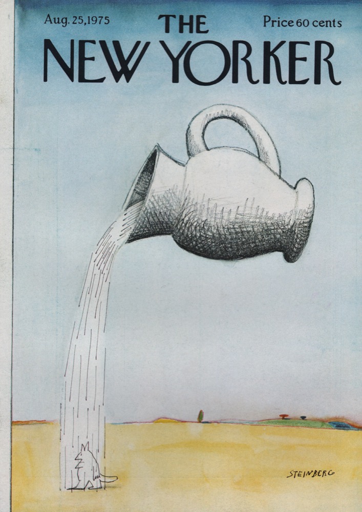 ORIGINAL VINTAGE MAGAZINE COVER: New Yorker August 25 1975 - Water pitcherby: Saul Steinberg (Illust.)