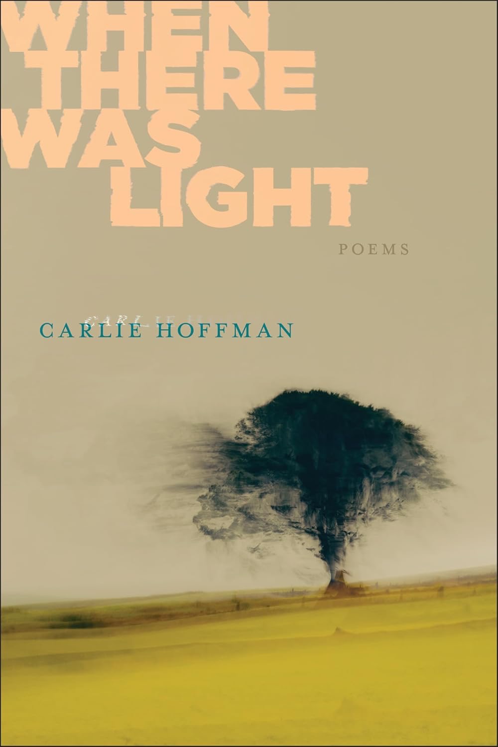 When There Was Light: Poems by: Hoffman, Carlie