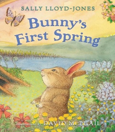 Bunny's First Springby: Lloyd-Jones, Sally / McPhail, David (Illust.)