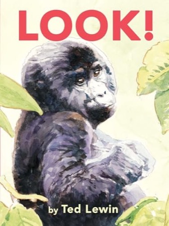 Look!by: Ted Lewin