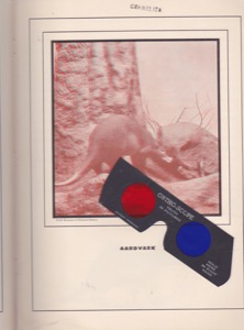 Strange Animal Stories: Life-Like Picturesby: Helen McKenna