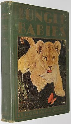 Jungle Babiesby: Kaigh-Eustace, Edyth 