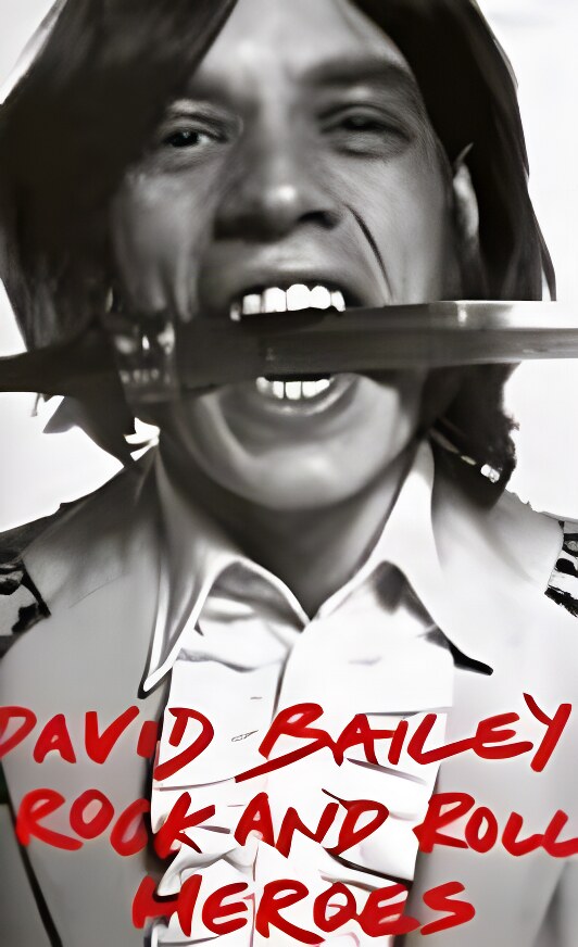 David Bailey's Rock and Roll Heroesby: Bailey, David & Neil Spencer 