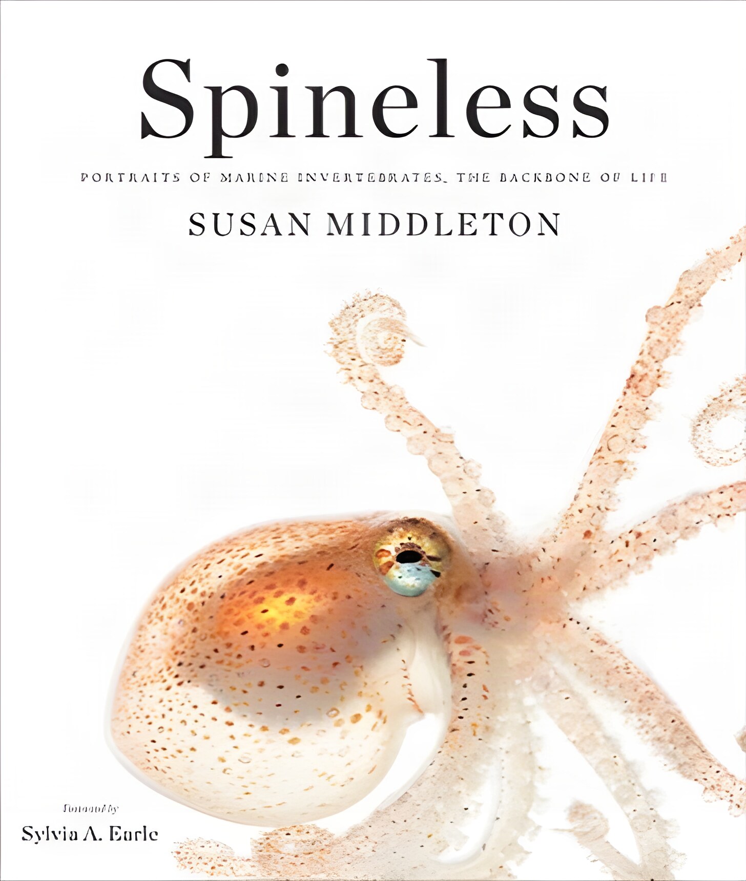 Spineless: Portraits of Marine Invertebrates, the Backbone of Lifeby: Middleton, Susan