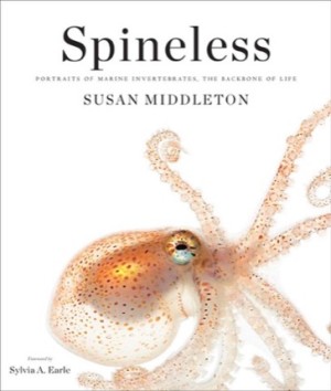 Spineless: Portraits of Marine Invertebrates, the Backbone of Lifeby: Middleton, Susan