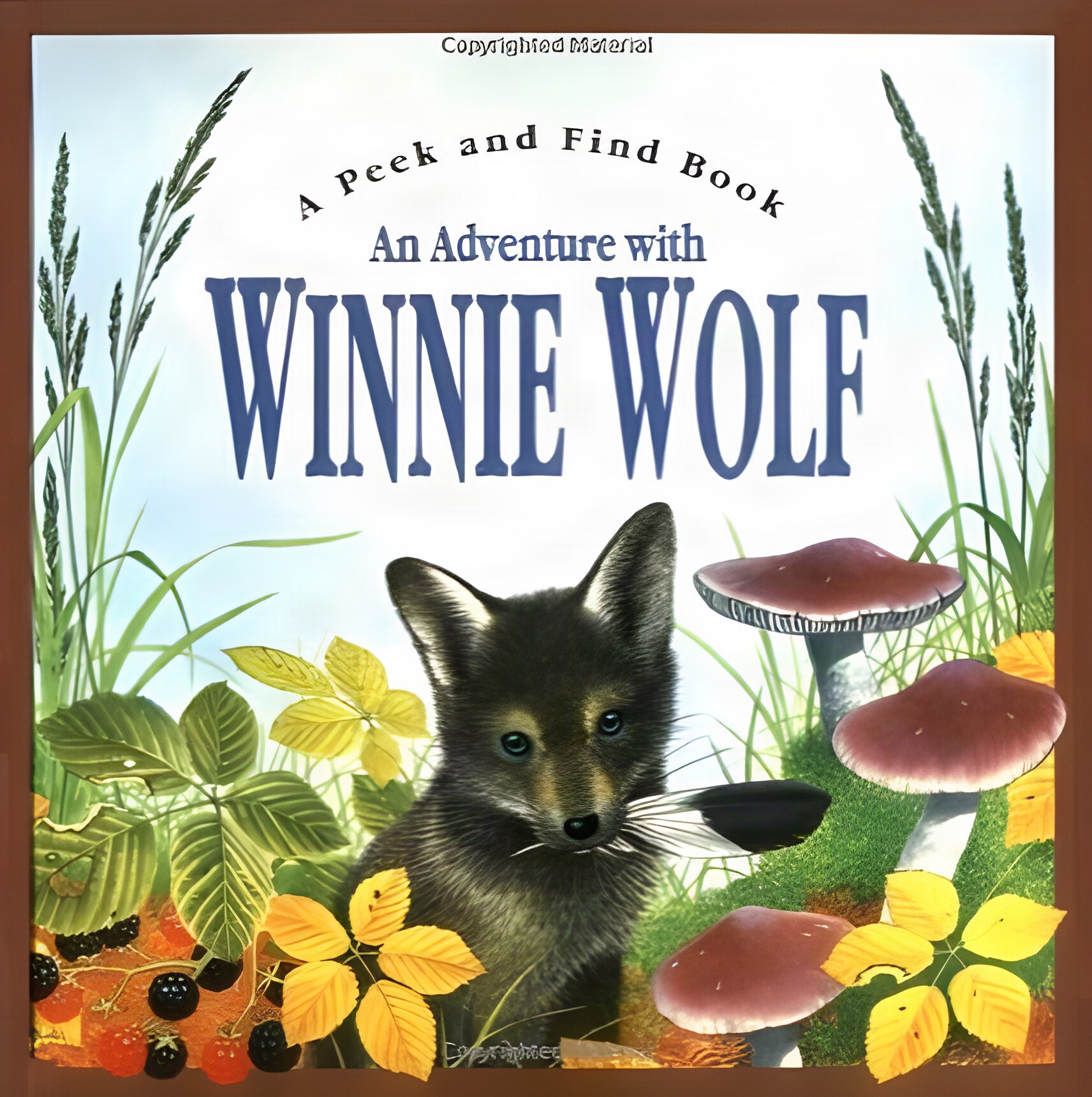 An Adventure with Winnie Wolfby: Maurice Pledger