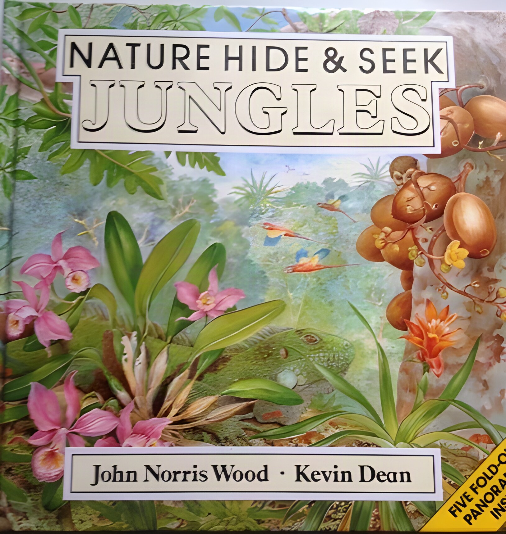 Nature Hide and Seek: Junglesby: John Norris Wood, Kevin Dean