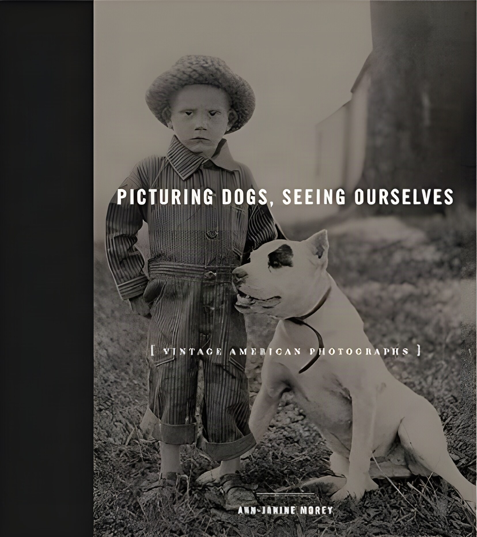 Picturing Dogs, Seeing Ourselves: Vintage American Photographs by: Ann-Janine Morey