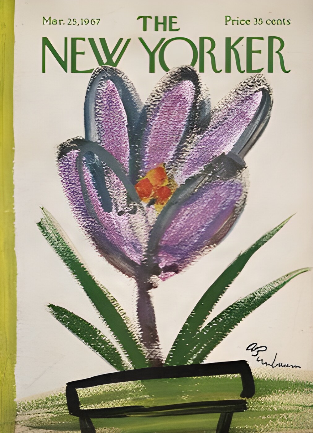 ORIGINAL VINTAGE MAGAZINE COVER:  New Yorker Mar. 25 1967 - purple flower in a pot     by: Abe Birnbaum (Illust.)