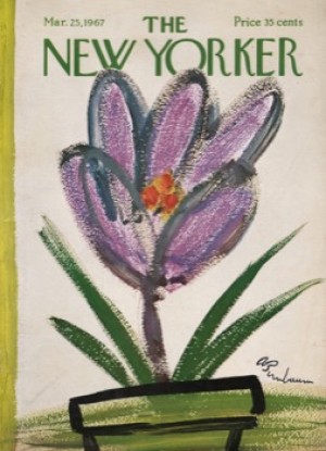 ORIGINAL VINTAGE MAGAZINE COVER:  New Yorker Mar. 25 1967 - purple flower in a pot     by: Abe Birnbaum (Illust.)