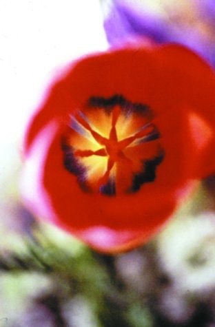 Flowerby: Lynn Goldsmith/Donald Sultan