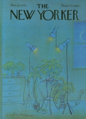 ORIGINAL VINTAGE MAGAZINE COVER:  New Yorker Nov. 22 1976 - Indoor plants    by: Eugene Mihaesco (Illust.)
