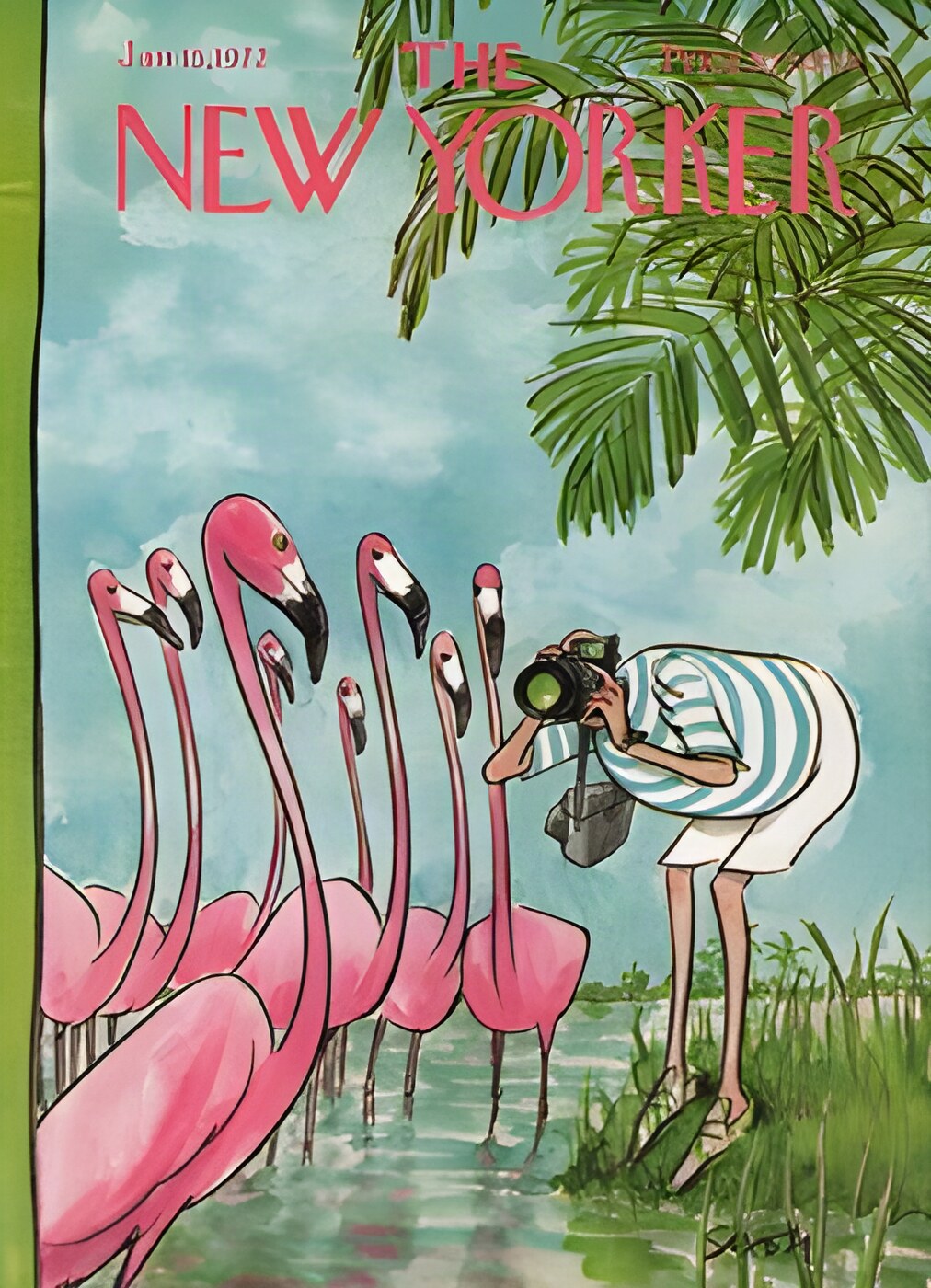 ORIGINAL VINTAGE MAGAZINE COVER:  New Yorker Jan. 15 1972 Photographing flamingosby: Charles Saxon (Illust.)
