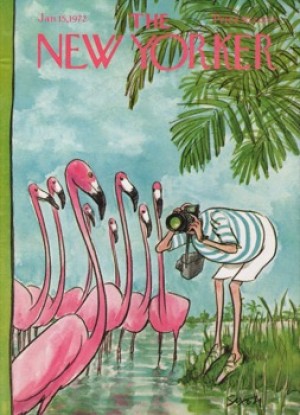 ORIGINAL VINTAGE MAGAZINE COVER:  New Yorker Jan. 15 1972 Photographing flamingosby: Charles Saxon (Illust.)