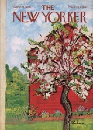 ORIGINAL VINTAGE MAGAZINE COVER:  New Yorker April 27 1968 - Apple blossoms    by: Abe Birnbaum  (Illust.)