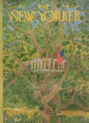 ORIGINAL VINTAGE MAGAZINE COVER: New Yorker July 3 1971 - Treehouseby: Ilonka Karasz (Illust.)