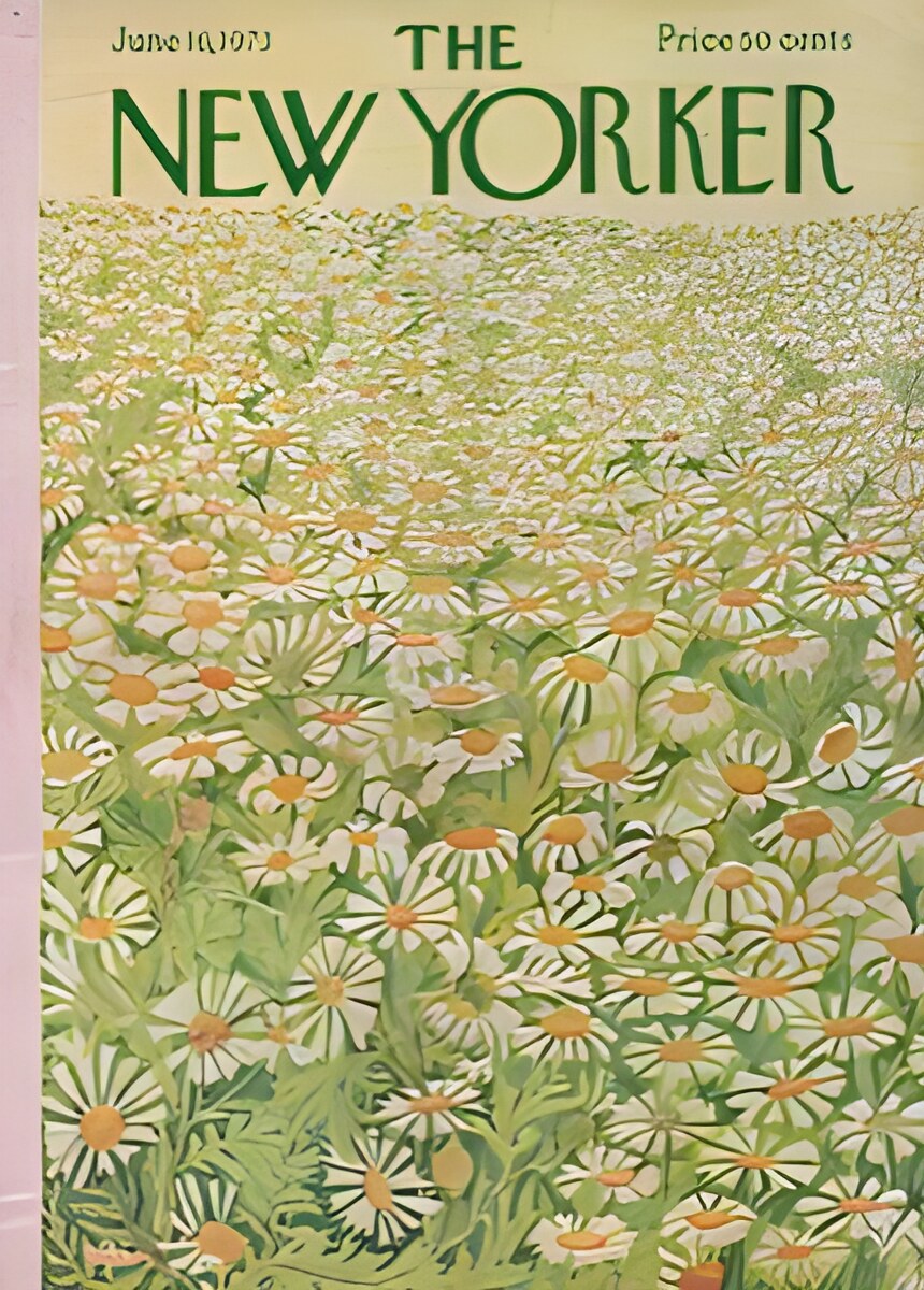 ORIGINAL VINTAGE MAGAZINE COVER: New Yorker June 16 1973 - Field of daisiesby: Ilonka Karasz (Illust.)
