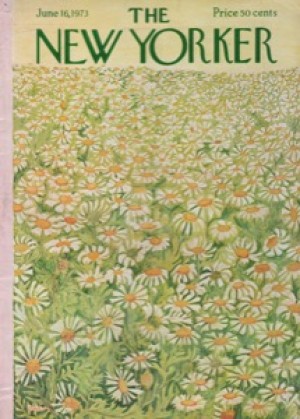ORIGINAL VINTAGE MAGAZINE COVER: New Yorker June 16 1973 - Field of daisiesby: Ilonka Karasz (Illust.)