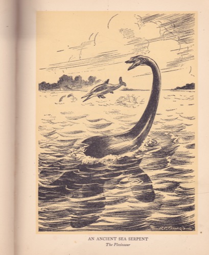 A Parade of Ancient Animalsby: Harold O. Whitnall