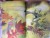 Attic of the Wind by: Lund, Doris Herold/Ati Forberg