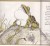 The Voices of Greenwillow Pondby: Carolyn Lane, Illustrator: Wallace Tripp 