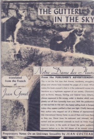 The Gutter in the Skyby: Jean Genet