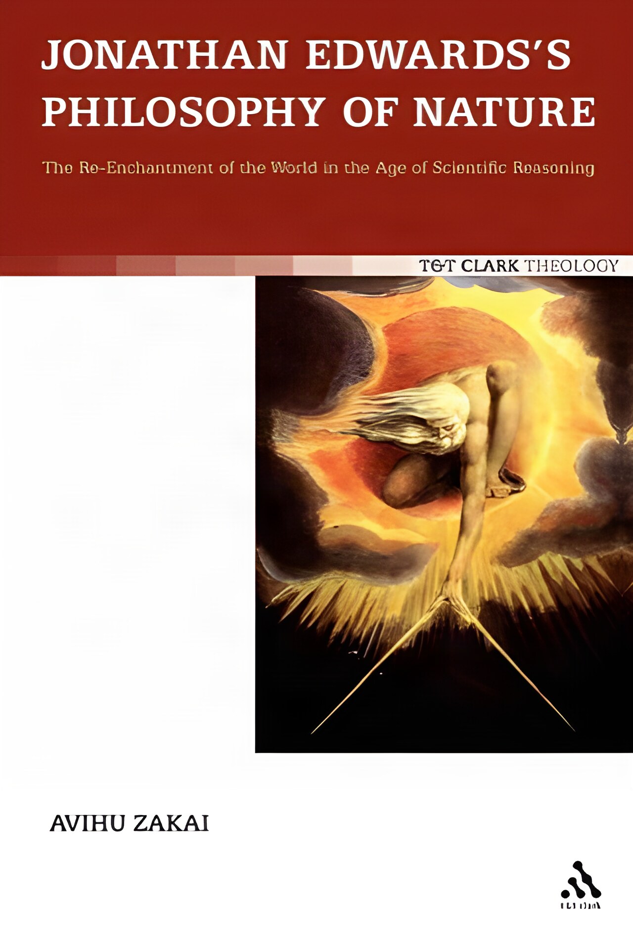 Jonathan Edwards's Philosophy of Nature: The Re-Enchantment of the World in the Age of Scientific Reasoningby: Zakai, Avihu