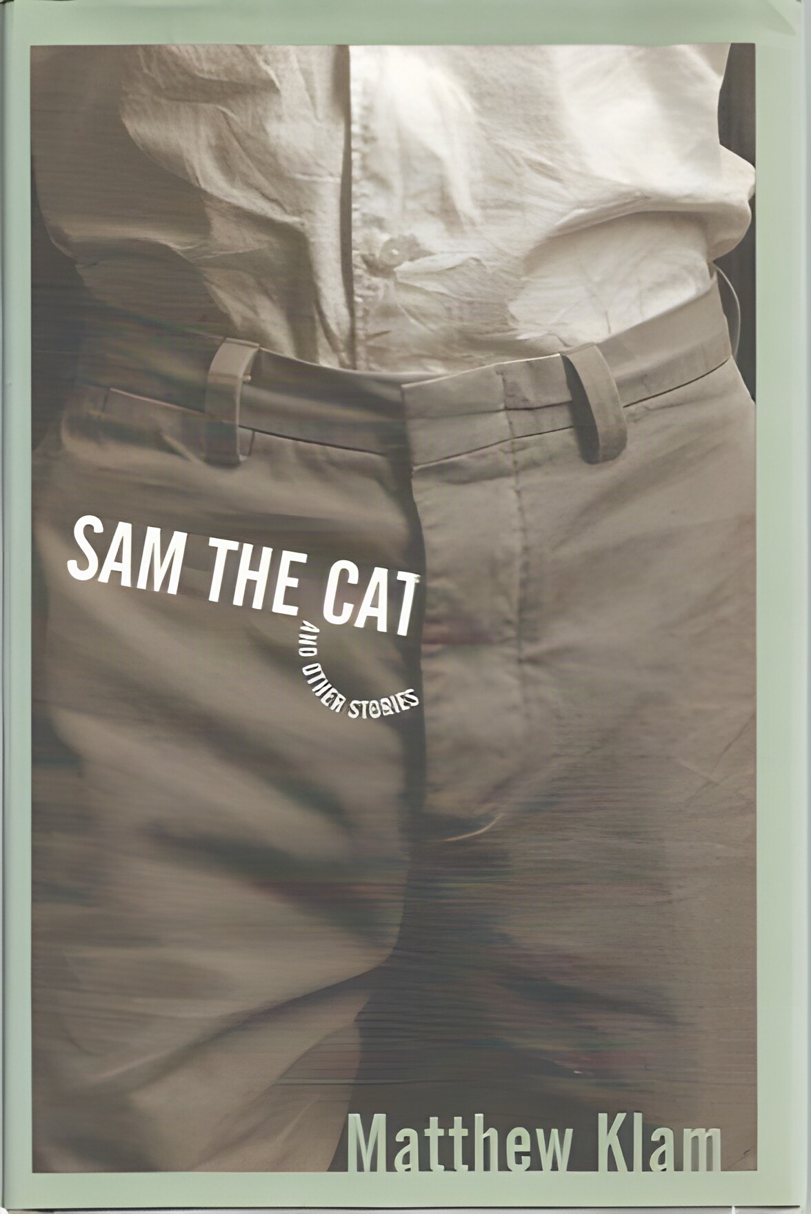 Sam the Cat: and Other Storiesby: Matthew Klam 