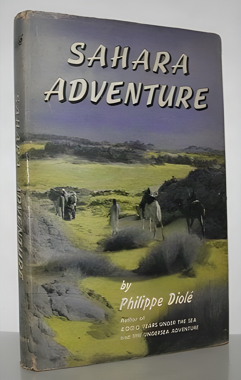 Sahara Adventureby: Philippe Diole