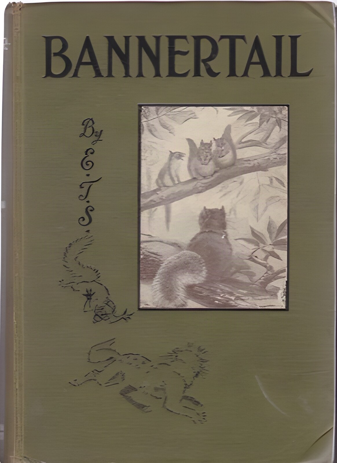 Bannertail: The Story of a Gray Squirrel by: Seton, Ernest Thompson