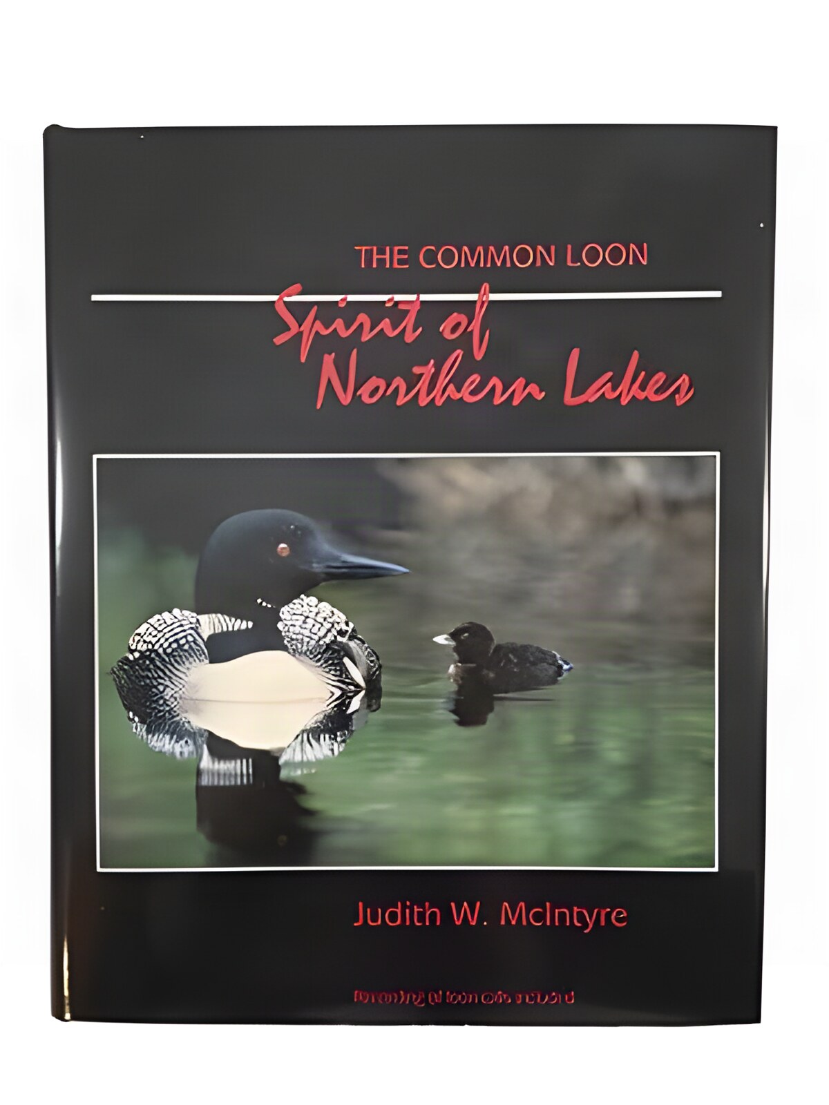 The Common Loon: Spirit of the Northern Lakesby: McIntyre, Judth, W.