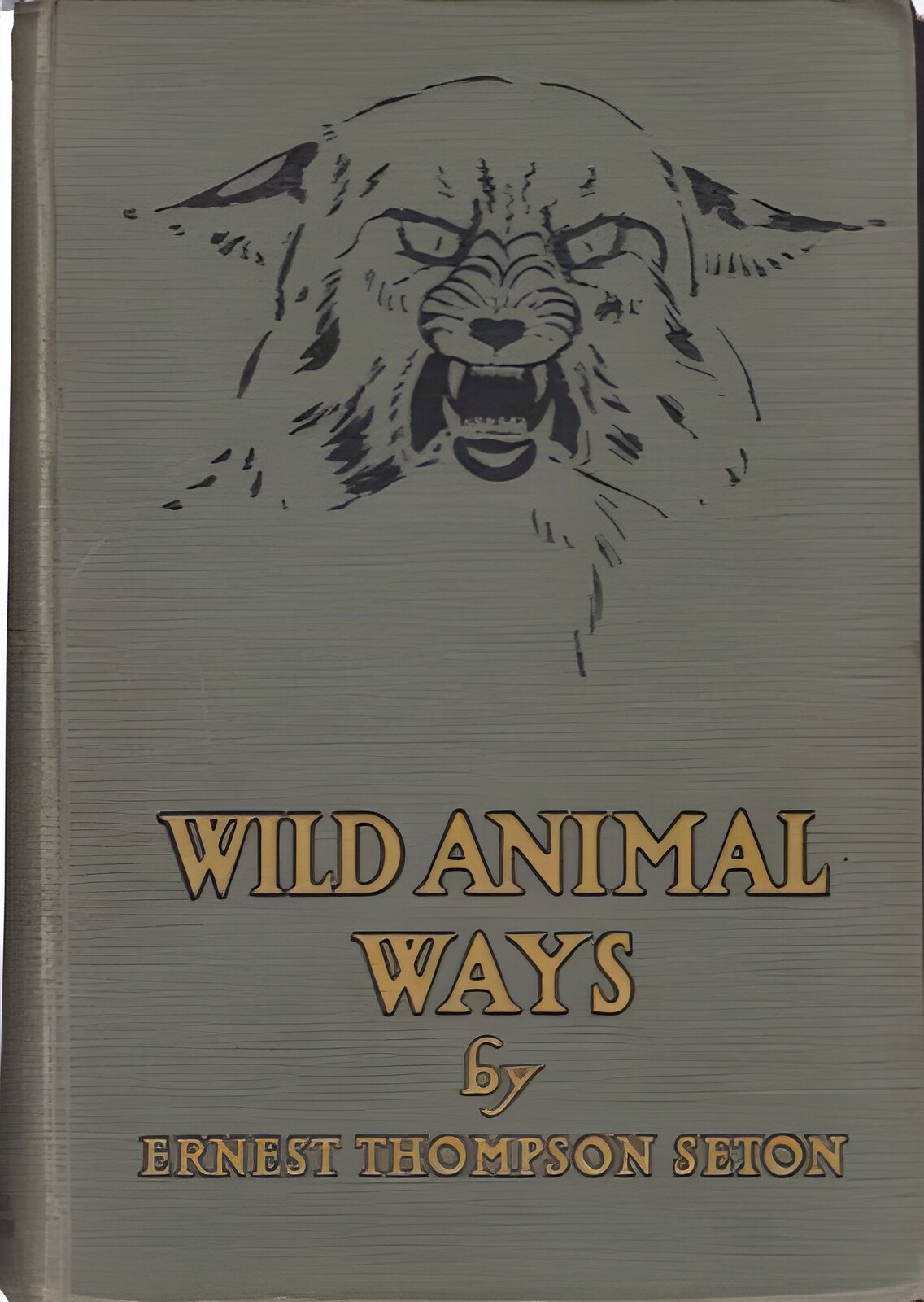 Wild Animal Waysby: Ernest Thompson Seton