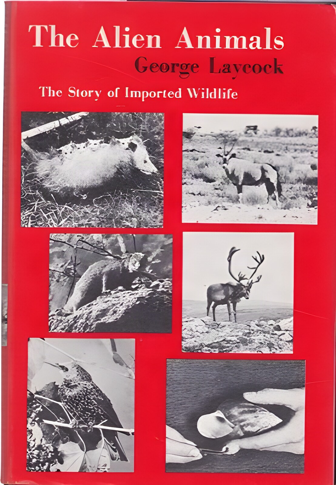 The Alien Animals: The Story of Imported Wildlifeby: Laycock, George