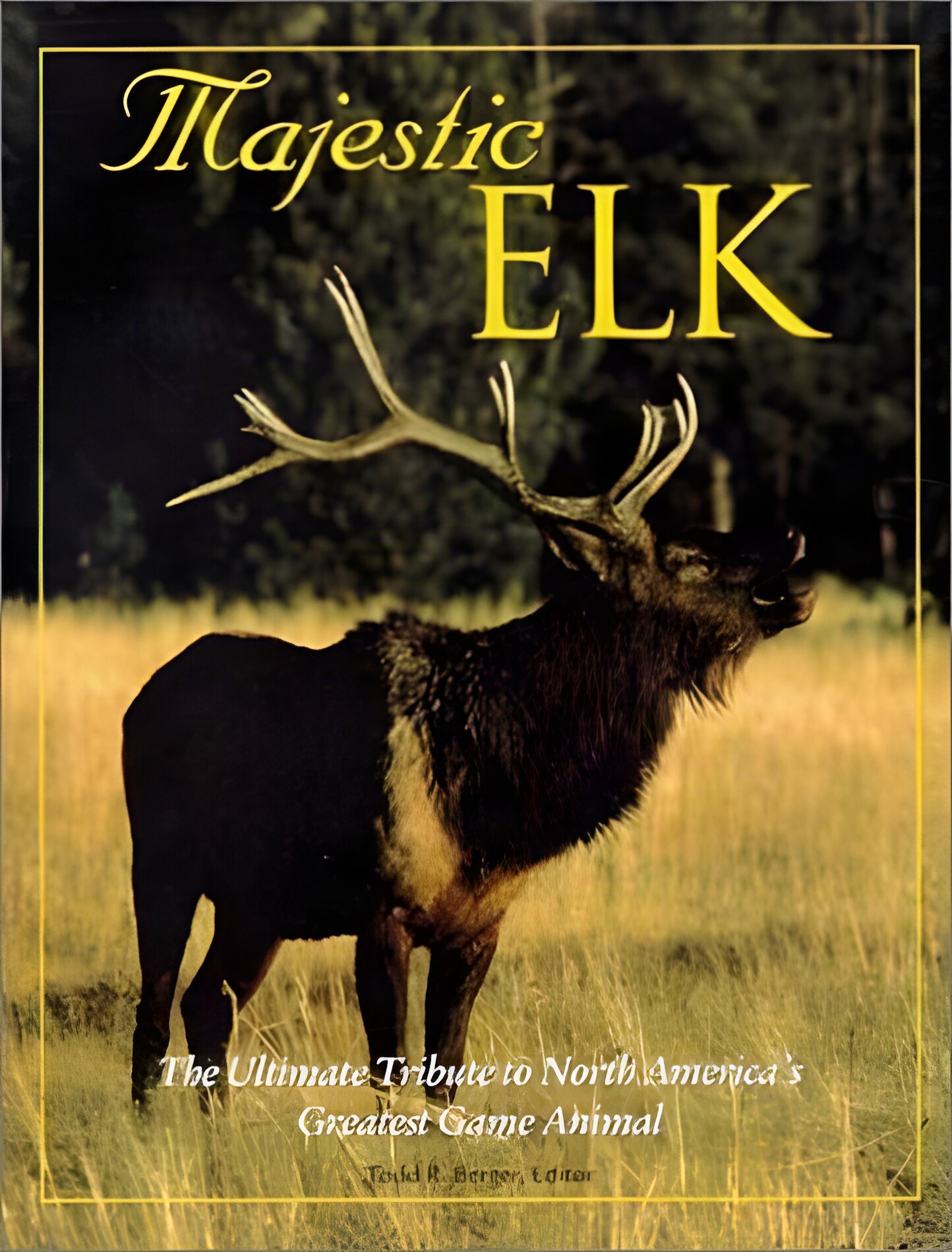 Majestic Elkby: Todd R. Berger