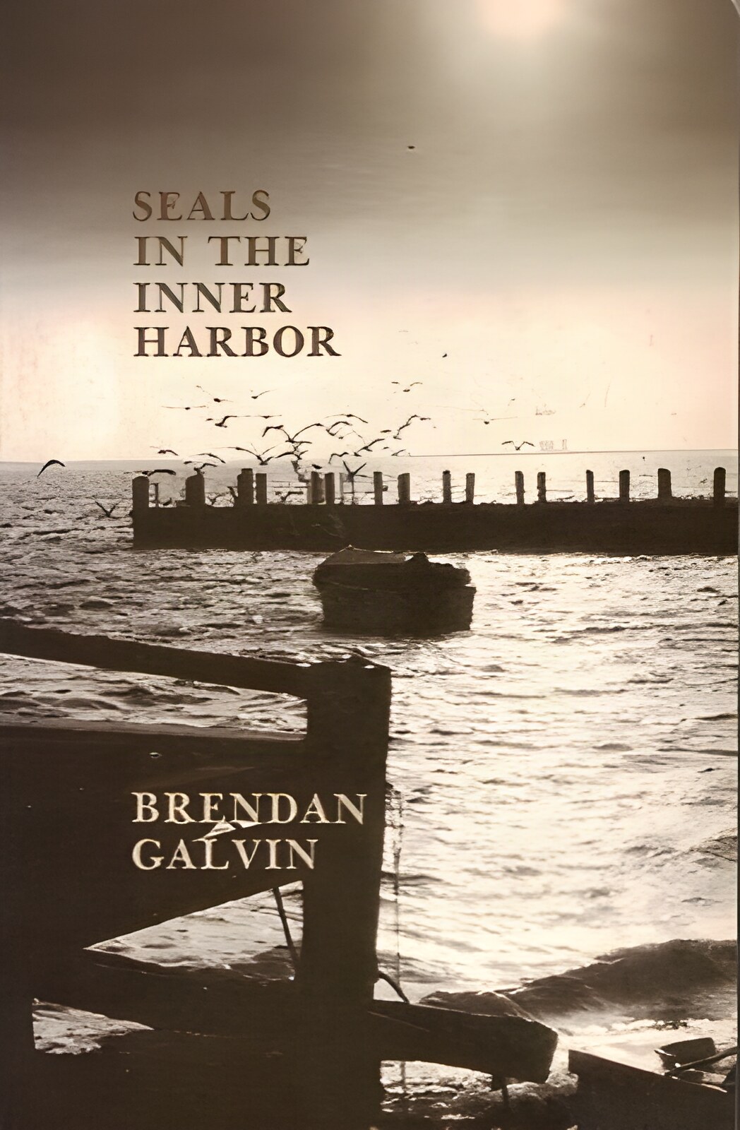 Seals in the Inner Harbor (INSCRIBED COPY)by: Galvin, Brendan