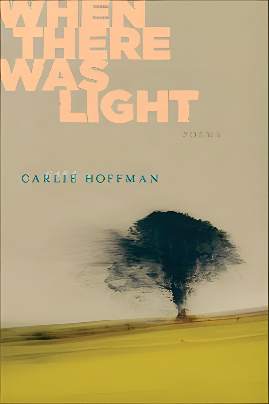 When There Was Light: Poems by: Hoffman, Carlie