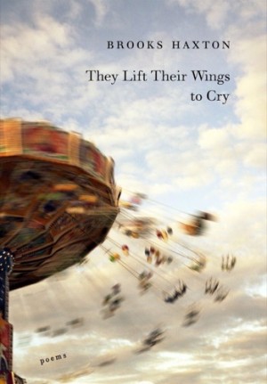 They Lift Their Wings to Cryby: Brooks Haxton