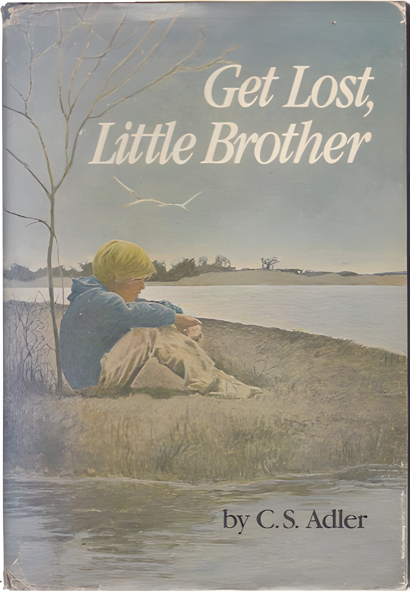 Get Lost, Little Brother by: Adler, C. S.