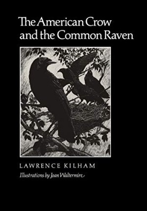 The American Crow and the Common Raven by: Lawrence Kilham; Joan Waltermire [Illustrator] 