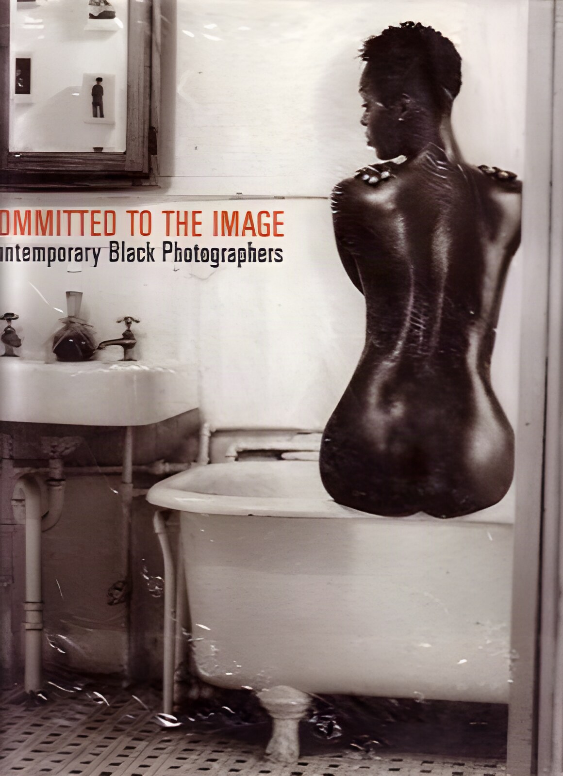 Committed to the Image: Contemporary Black Photographersby: Barbard Head Millstein (Ed.)