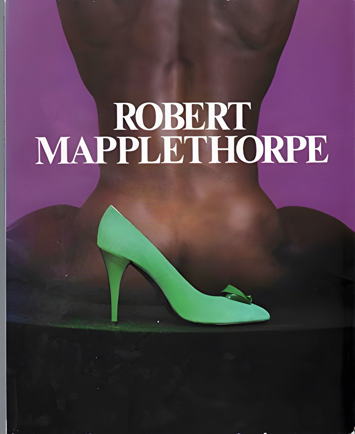 Robert Mapplethorpe by: Mapplethorpe, Robert / David Hershkovits (Introduction)