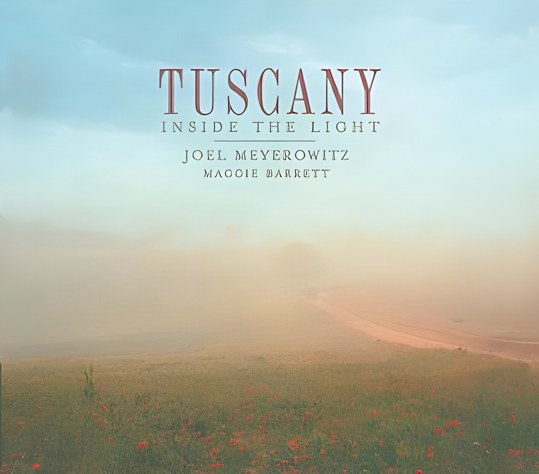 Tuscany: Inside the Lightby: Joel Meyerowitz/ Maggie Barrett