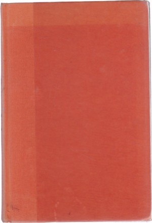 Superfudgeby: Judy Blume