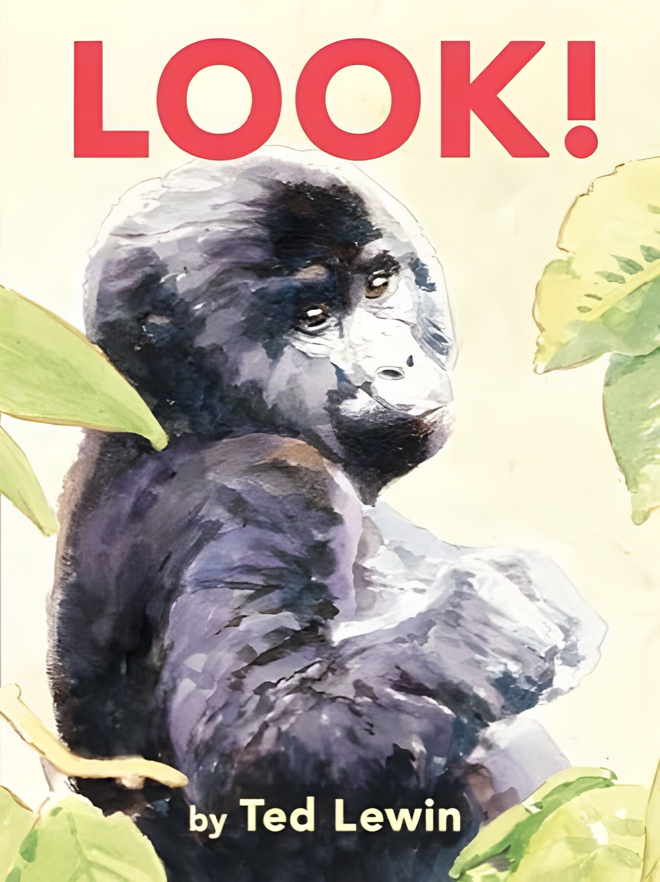 Look!by: Ted Lewin