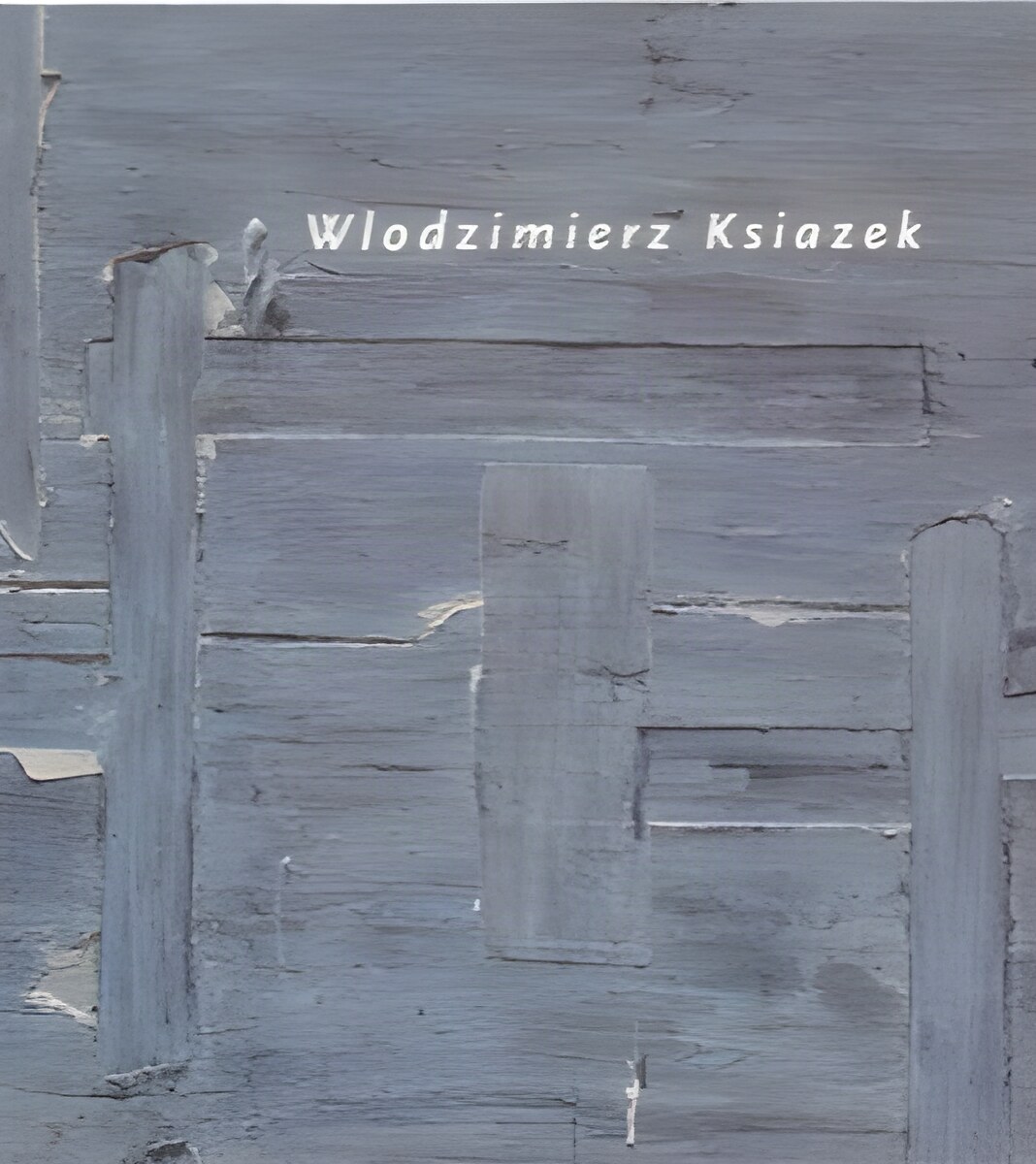 Wlodzimierz Ksiazekby: David Pagel / Wlodzimierz Ksiazek