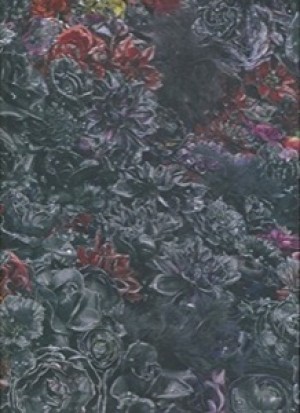 Petah Coyne: Above And Beneath The Skinby: Coyne, Petah and Douglas Dreishpoon, Nancy Princenthal, Eleanor Heartney