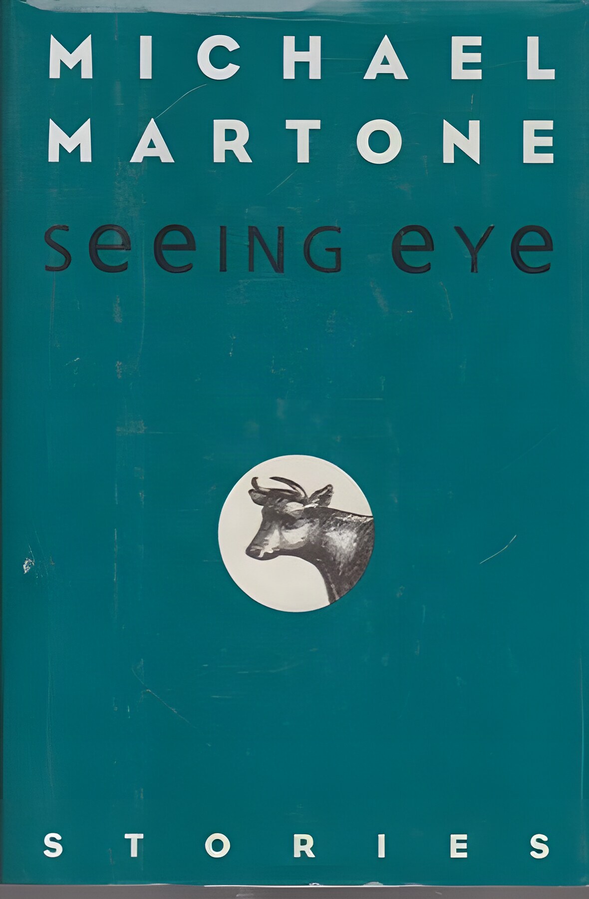 Seeing Eye: Storiesby: Michael Martone