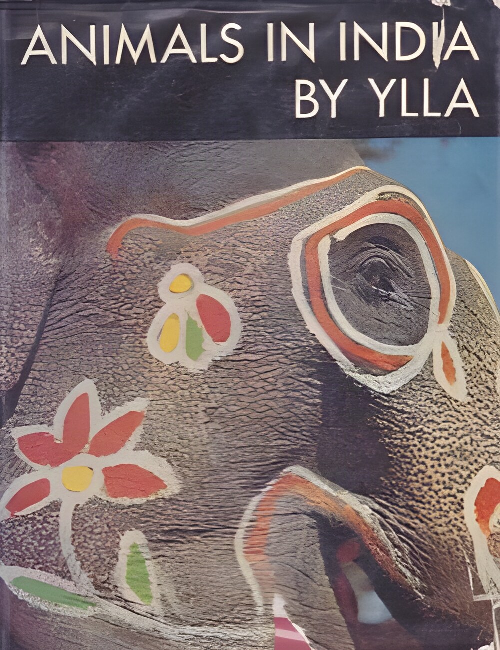 Animals in Indiaby: Ylla