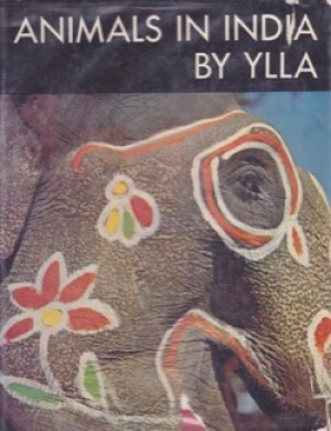 Animals in Indiaby: Ylla