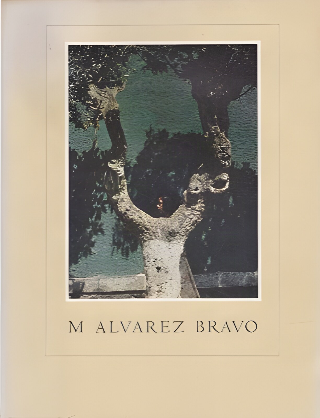 M. Alvarez Bravo by: Jane Livingston; Manuel Alvarez Bravo